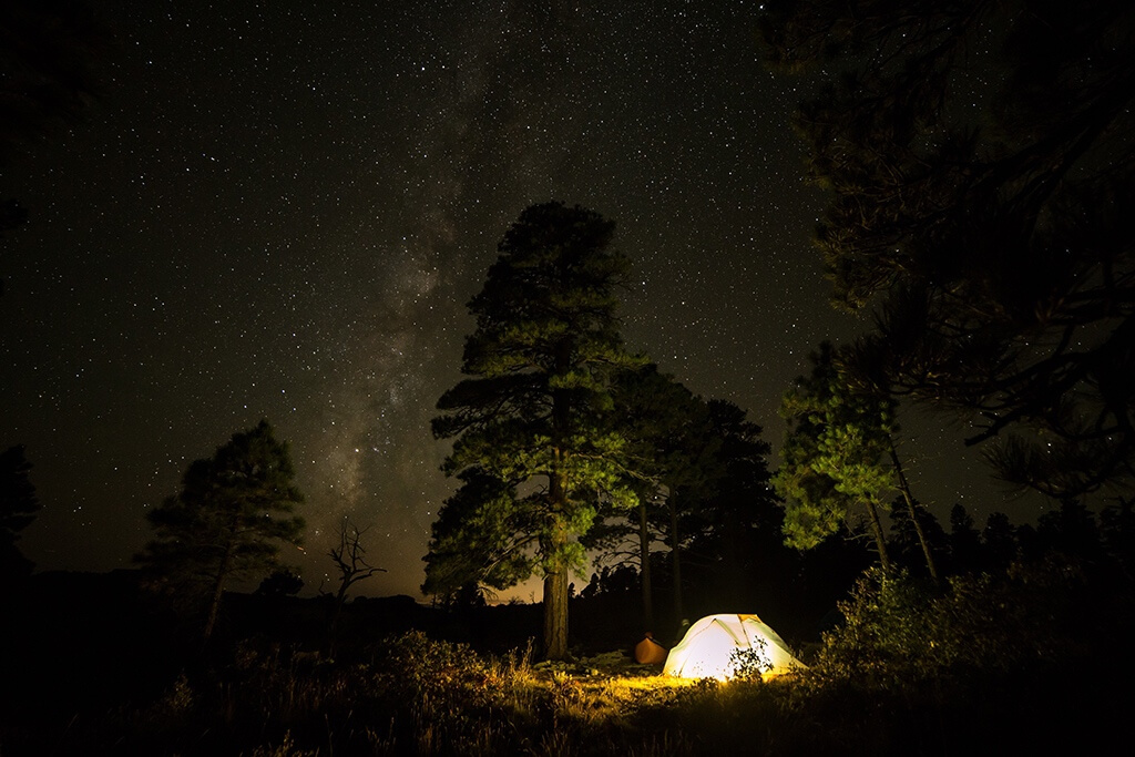 A bright lit tent in the forest with the night sky and stars above